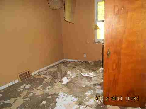 18961 Joann (13)_m.jpg